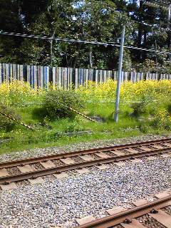 100414_0938481.jpg